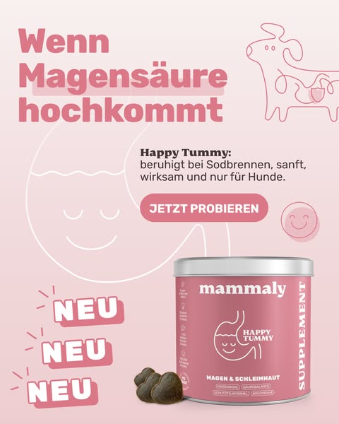 mammaly ad creative (Static)