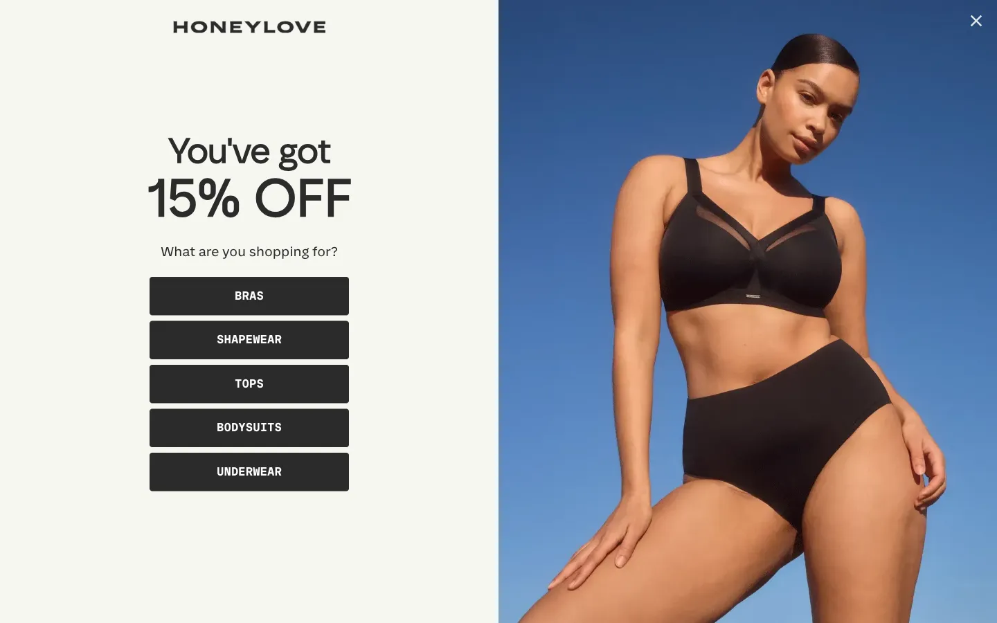 Honeylove, popup (desktop)